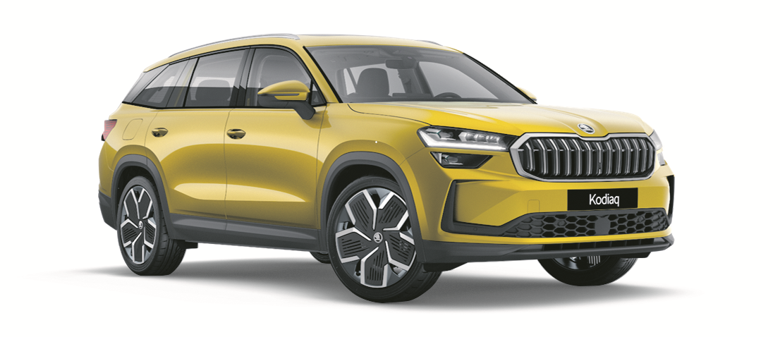 vS_Kodiaq_NG_MJ24_Gold_Bronze_Metallic_TZ_2